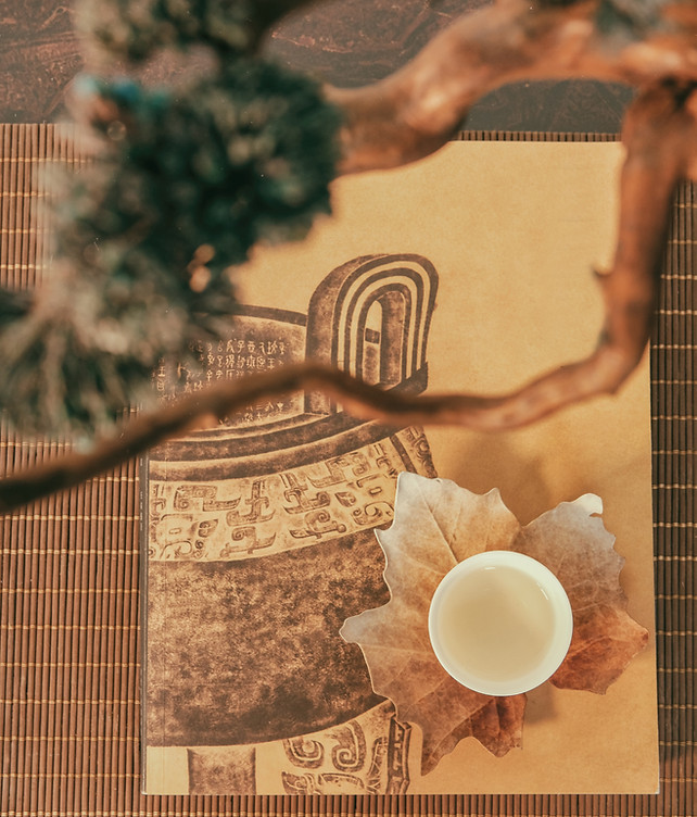 Detail of hand therapy session